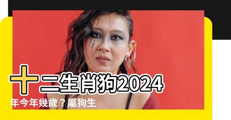 屬狗生肖|屬狗今年幾歲？2024屬狗生肖年齡對照表！屬狗性格特質